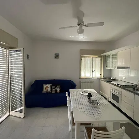 Jimmy 's House * 브롤로
